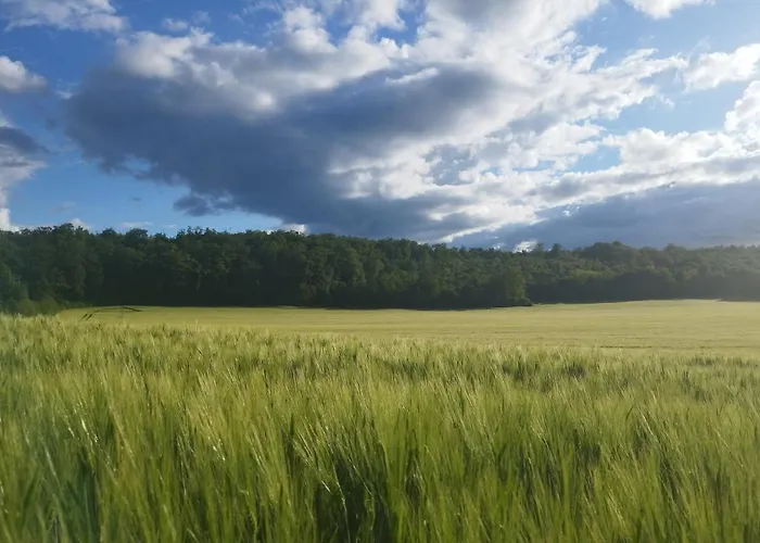 Holiday home Avec Jardin Viterne